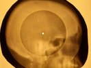Doors - Twentieth Century Fox X-RAY OF THE USSR X-RAY BONE RECORD