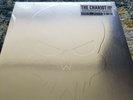 THE CHARIOT LONG LIVE RSD 2021 LIMITED Transparent Black/Red/Silver Splatter NEW