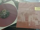 Farm S/T Akarma Purple 10