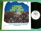 BARRY & THE TAMERLANES - I WONDER WHAT SHES DOING TONIGHT - RARE '63 NM PROMO LP