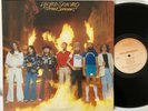 LYNYRD SKYNYRD - STREET SURVIVORS - FLAMES COVER MCA LP original vinyl EX/VG+