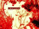 OCEANSIZE - Effloresce (reissue) - Vinyl (2xLP)