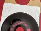 Walt Disney Very Rare Production Acetate 7” Peggy Lee He’s A Tramp Lady ?