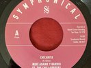 Mike Adame Y Barrio - Chicanita - Symphonical - RARE MODERN CHICANO SOUL 45 HEAR