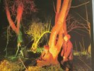 Echo And The Bunnymen Crocodiles Australian pressing 12'' vinyl LP are rock