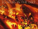 PAUL MCCARTNEY - FLOWERS IN THE DIRT - NEAR MINT - SUPERB