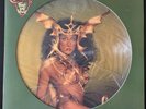 Cher Take Me Home Picture Disc Casablanca NBPIX 7133 NM/VG+ 1979