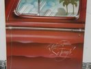 Beach Boys Carl and The Passions / Pet Sounds 2 LP