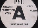 Rock / Beat--The Monotones--What Would I Do / Is It Right