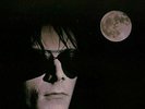 1987 THE SISTERS OF MERCY Album FLOODLAND Record 1ST PRESS Lp OG VINYL is MINT