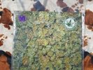Bongzilla Methods For Attaining Extreme Altitudes Vinyl LP Stoner Doom Sludge...