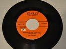PLEASE LET ME LOVE YOU BY THE JESTERS ON 45RPM WINLEY RECORDS DOO-WOP