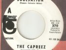 THE CAPREEZ Soulsation TOWER PROMO DETROIT NORTHERN SOUL USA 45