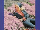 Dolly Parton ‎– You Are (1980) RCA – INTS 5044 vinyl brand new compilation