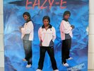Eazy-E/Dr. Dre/M.C. Ren/Yella Promo Eazy-Duz-It Radio Ruthless Villain 1988 LP