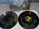 La Dispute - WILDLIFE - Brown & Black Starburst Colored Vinyl 2 LP - VG+