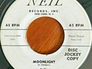 YOUNG LADS Moonlight/I'm In Love SUPER-RARE PROMO Neil N-100 Doo Wop 1956 7