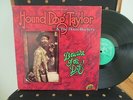 HOUND DOG TAYLOR & THE HOUSEROCKERS - BEWARE OF THE DOG   ALLIGATOR BLUES LP
