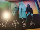 Wolf Alice: Blue Weekend- Personally signed/Visions of a life double LP signed.