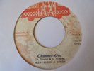 SKIN FLESH BONES Channel One TAXI  MAGNIFICENT Reggae 7
