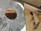 TAKING BACK SUNDAY GREY ED 812 HOT TOPIC EXCLUSIVE Where You Want to Be VINYL LP