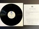 SONIC YOUTH The Eternal RARE TEST PRESSING (DISC 1 ONLY) Matador RTI 2009