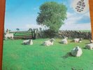 Vinyl Album KLF Chill Out. JAMS LP5