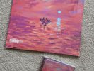 Dave We’re All Alone In This Together Red Vinyl LP  And CD Bundle