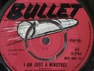 THE KINGSTONIANS - I Am Just A Minstrel   7