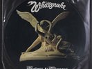 WHITESNAKE: saints & sinners LIBERTY 12