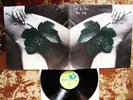 RARE & GREAT  1971 UK Harvest ? EAST OF EDEN 