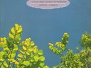 THE    GO    -    BETWEENS    1978    -     1990    VINYL    DOPPEL    ALBUM  