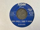 Glorianne How Could I Turn It Down / Voodoo 7