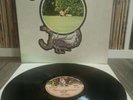 Peter Hammill Chameleon In The Shadow Of The Night Original