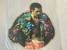 Freddie Mercury 