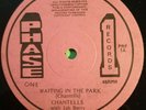 WAITING IN THE PARK.DESPERATE TIMES.THE CHANTELLS. 12
