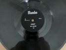 78 Doo Wop -The Squires - Cindy / Do-Be-Do-Be-Wop-Wop * Mambo 105  E+