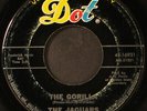 JAGUARS: the gorilla DOT 7