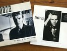 STING 2 Vinyl-Alben - The Dream Of The Blue Turtles + Nothing But The Sun (DoLP)