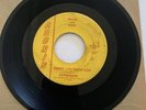 Ray Burden A Hot Rodder's Dream 112 Adonis Label 1961 45 Record