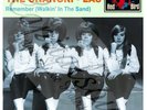 60S R/B GIRL GROUP POP RED BIRD THE SHANGRI-LAS REMEMBER WALKING PICTURE SLEEVE