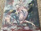 Cannibal Corpse Bloodthirst Vinyl LP Red/Black Marble 260/300 Like New Spun Once