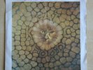 KING CRIMSON Cat Food / Groon UK original 7