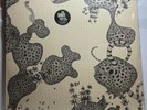 THE SHINS Wincing The Night Away LP Vinyl 1st Press  w/ Poster-modest mouse