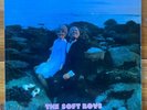 The Soft Boys – Underwater Moonlight – NM Psych Rock-Indie Rock Vinyl LP – OG UK