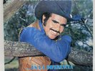 VICENTE FERNANDEZ “ES LA DIFERENCIA” LP VINYL CBS Record VG+/VG 12” 33 Rpm