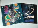 Siouxsie and the Banshees 