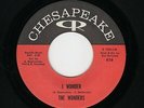 '61 R&R/White DooWop/Teen WONDERS I Wonder/Summer Love CHESAPEAKE M- HEAR