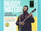 2014 Muddy Waters I Got My Brand On You The 1956-1962 Vinyl 180 Gram LP 771986