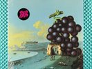 2007 Moby Grape Wow Sundazed Music Vinyl 12'' Record LP 5226